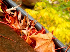 gutters2